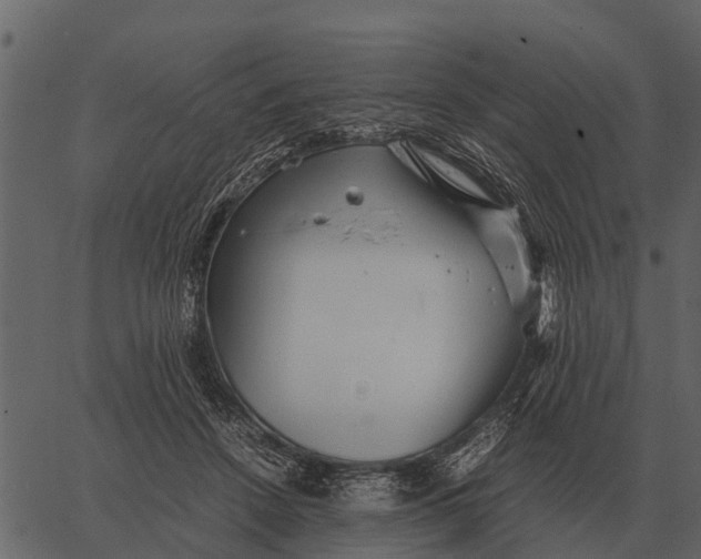 X0000062650456200601111156