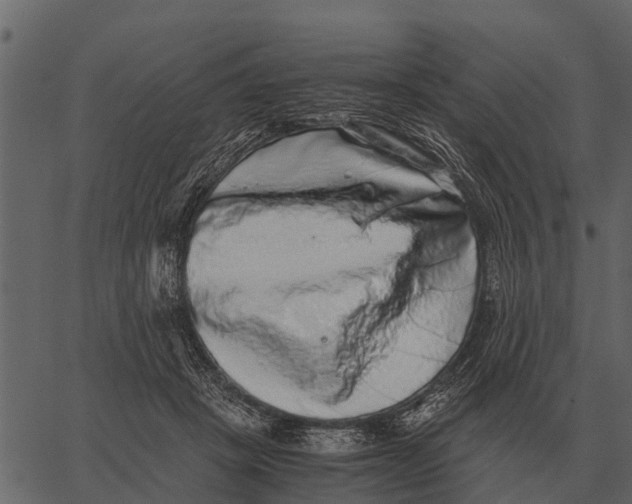 X0000062650457200601111156