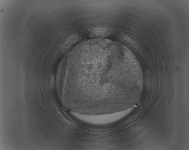 X0000062650459200601111156