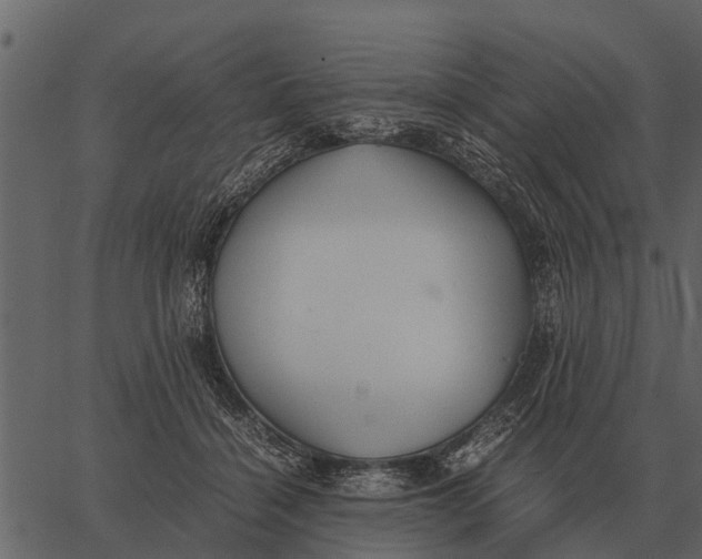 X0000062650460200601111156