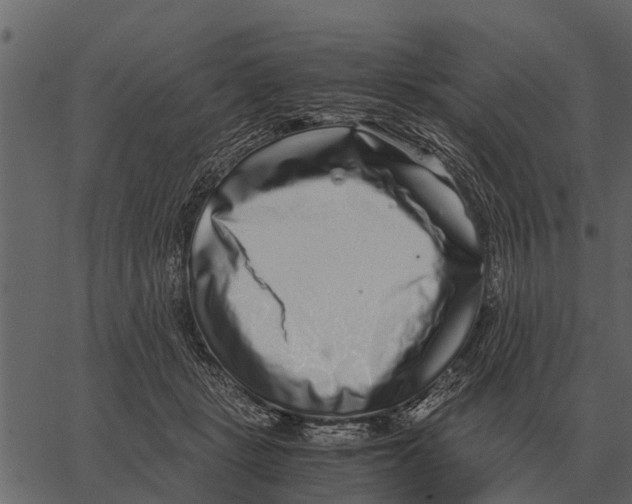 X0000062650461200601111156