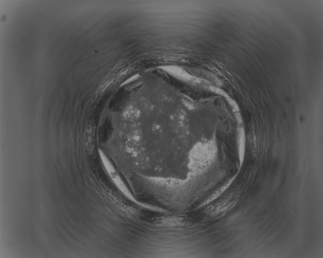 X0000062650462200601111156