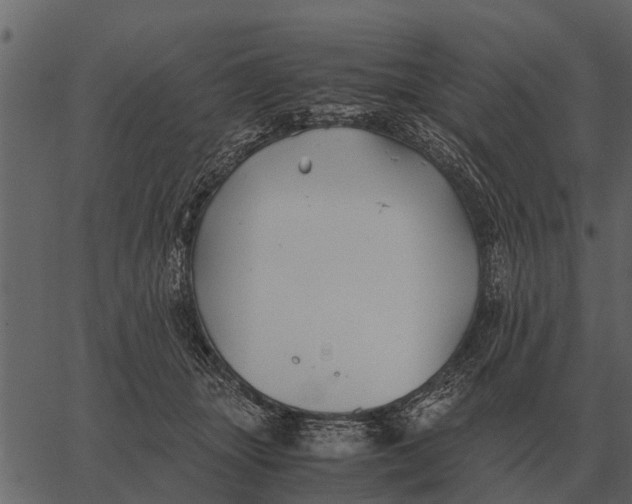 X0000062650463200601111156