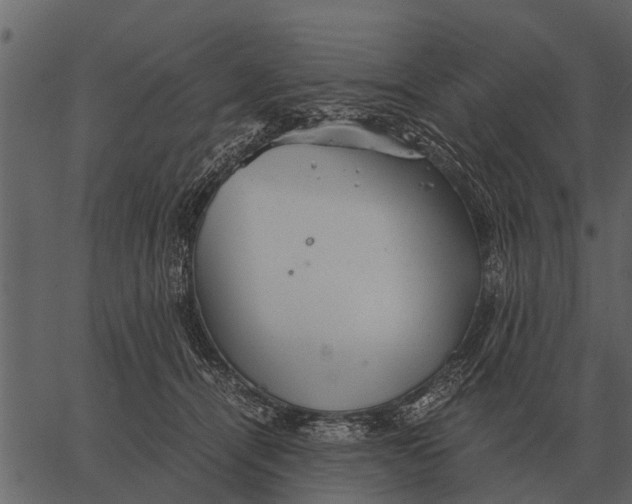 X0000062650464200601111156