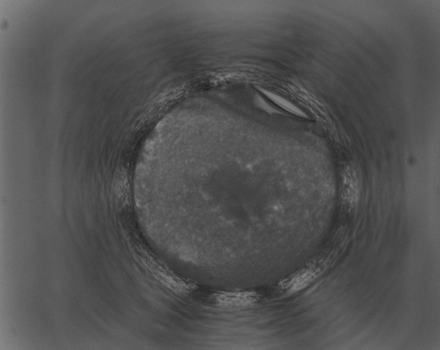 X0000062650465200601111156