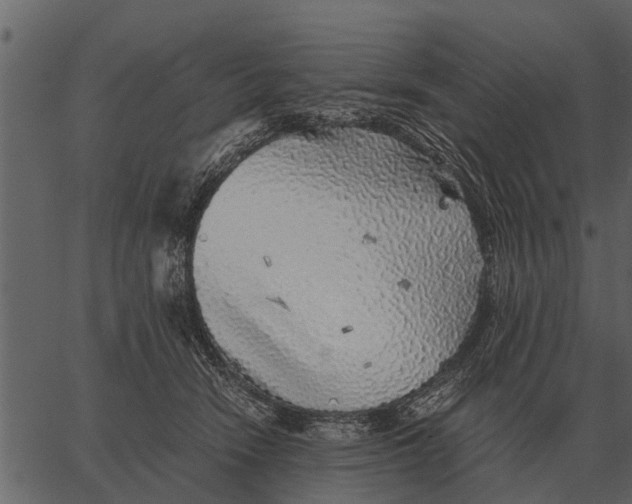 X0000062650466200601111156