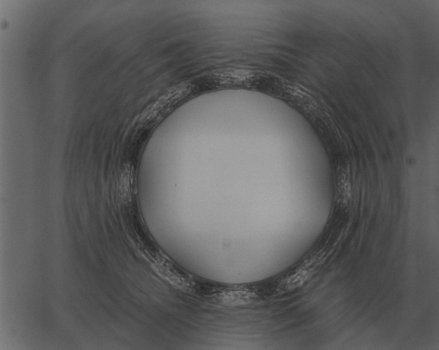 X0000062650468200601111156