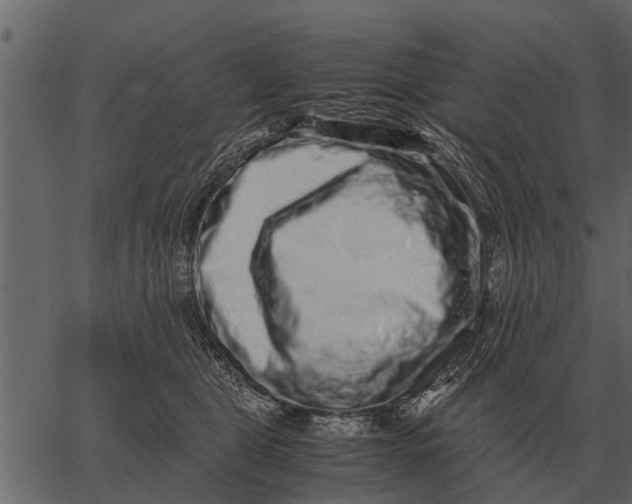 X0000062650469200601111156