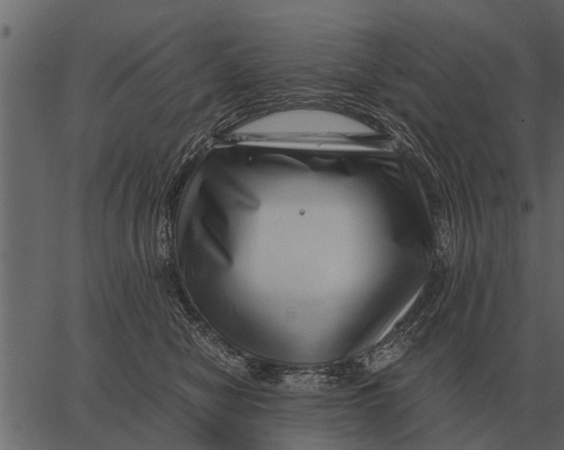 X0000062650470200601111156