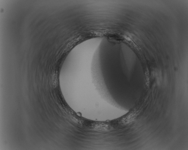 X0000062650471200601111156