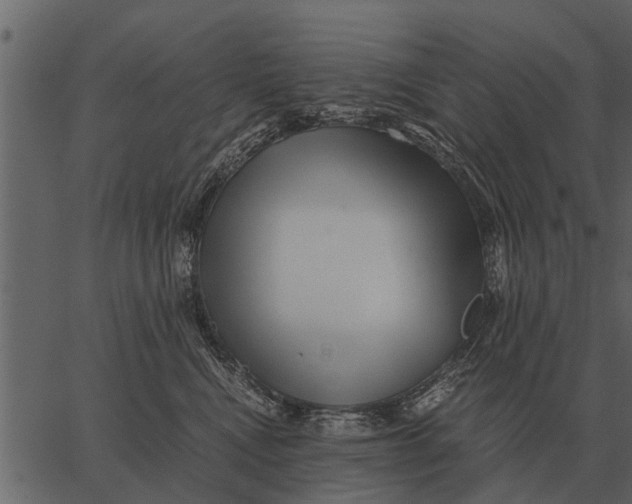 X0000062650472200601111156