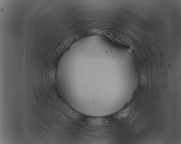 X0000062650473200601111156