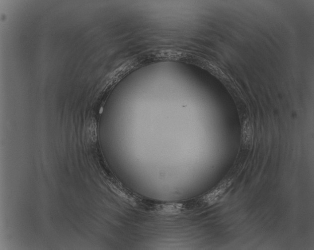 X0000062650474200601111156