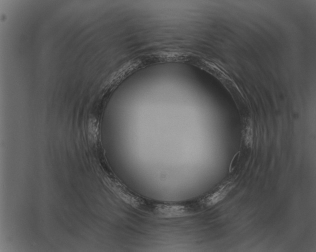 X0000062650476200601111156