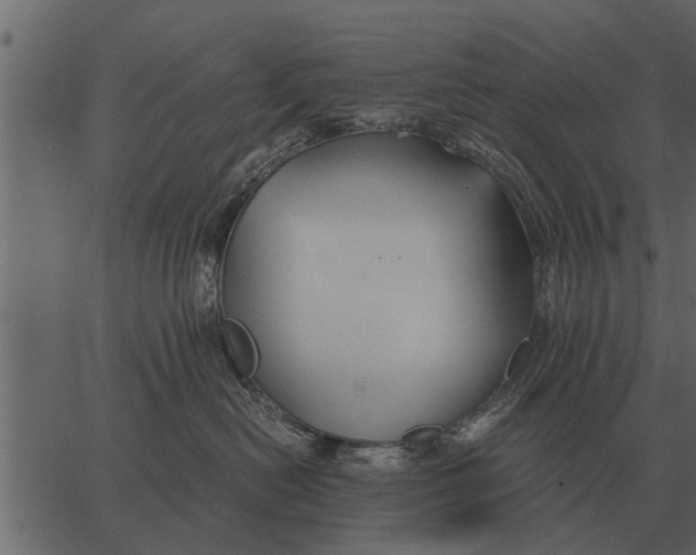 X0000062650478200601111156