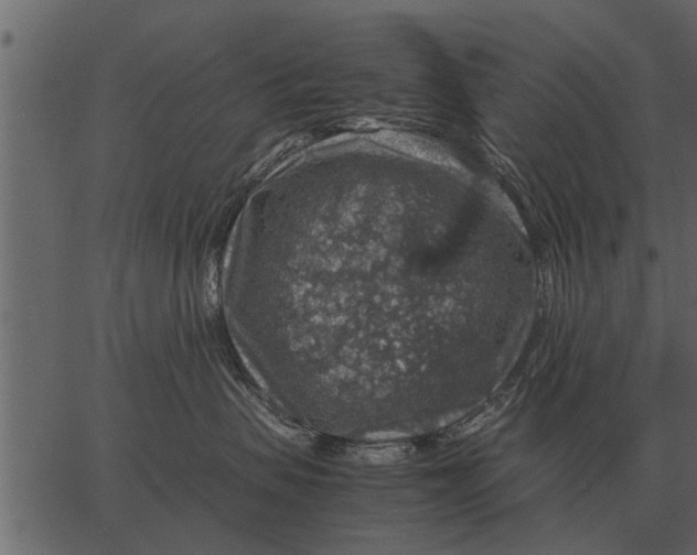 X0000062650479200601111156