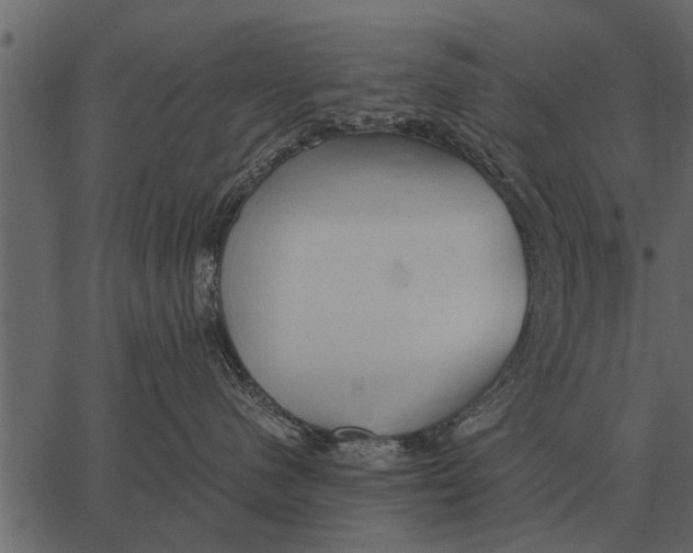 X0000062650480200601111156