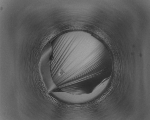 X0000062650481200601111155