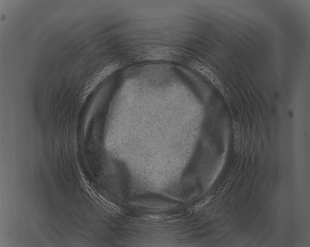 X0000062650482200601111155