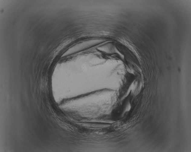 X0000062650483200601111155