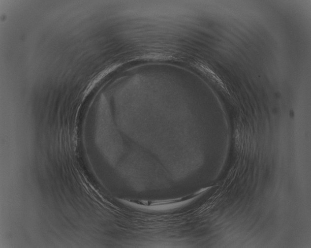 X0000062650484200601111155