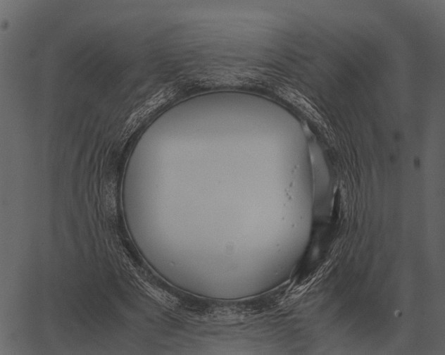 X0000062650489200601111155