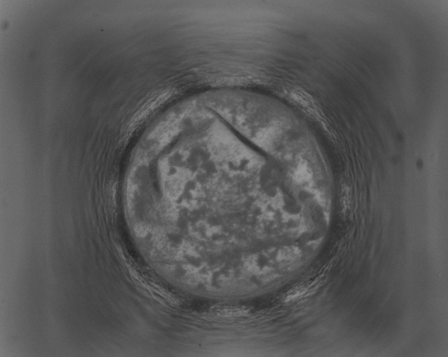 X0000062650491200601111155