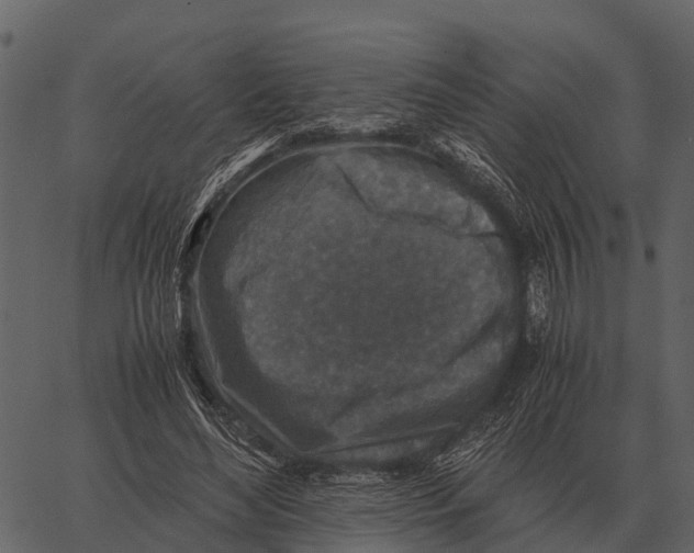 X0000062650492200601111155