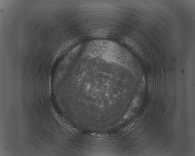 X0000062650494200601111155