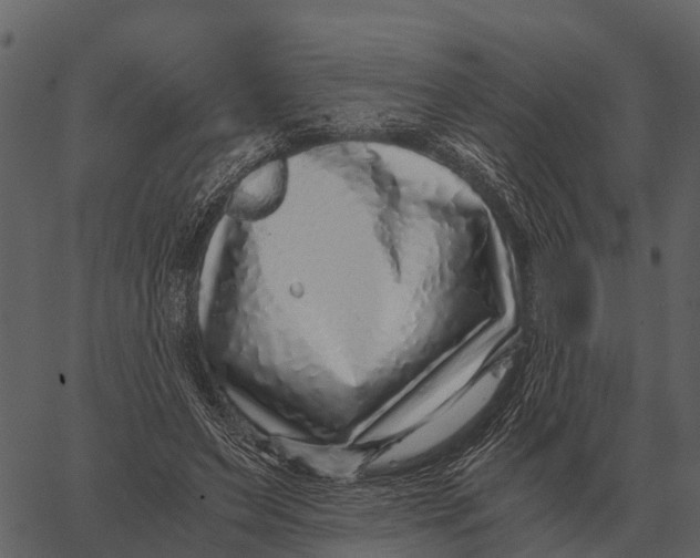 X0000062650495200601111155