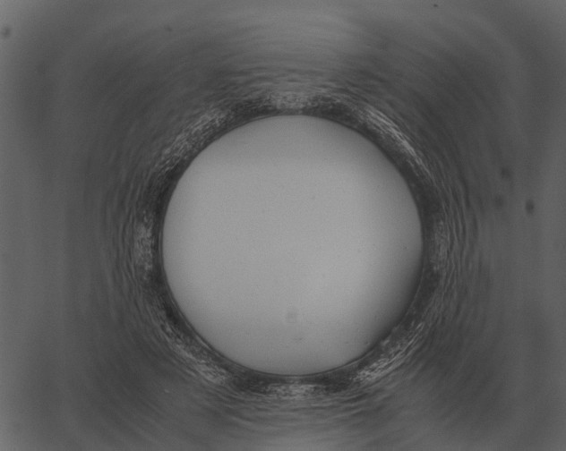 X0000062650497200601111155