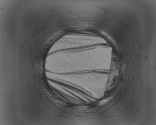 X0000062650501200601111155