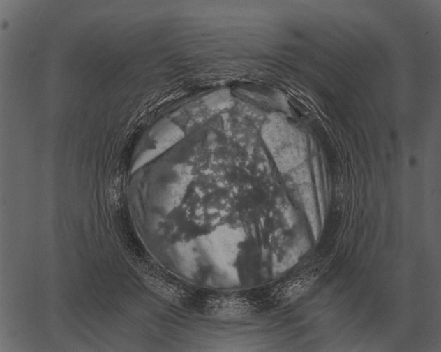 X0000062650503200601111155