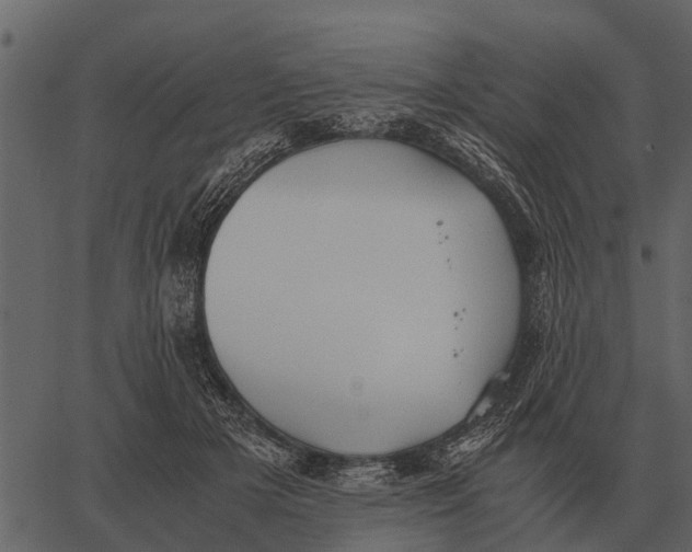 X0000062650505200601111155