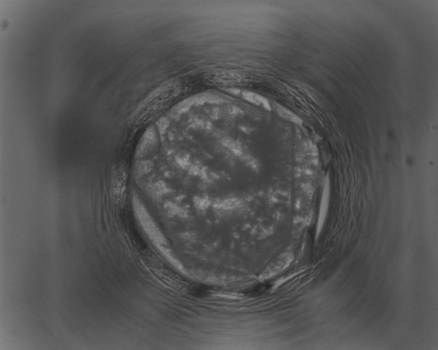 X0000062650507200601111155