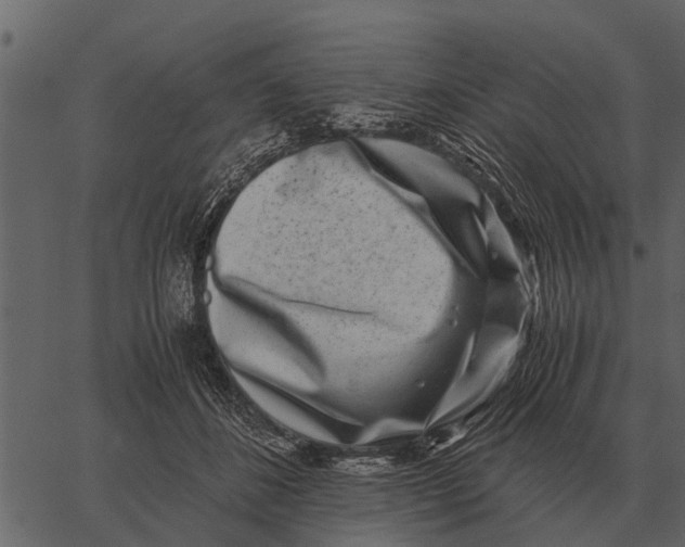 X0000062650508200601111155