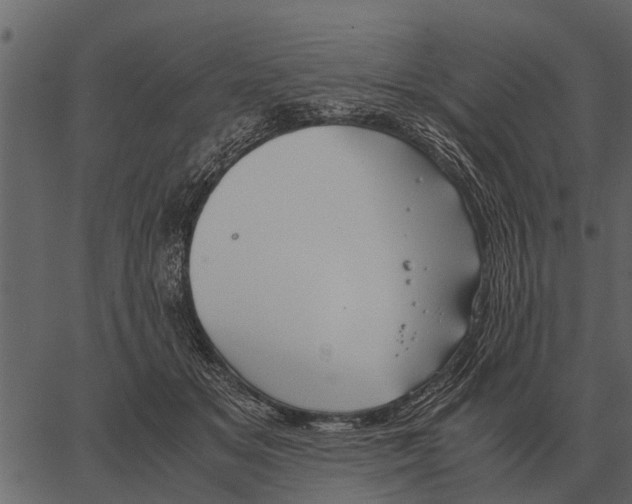 X0000062650509200601111155