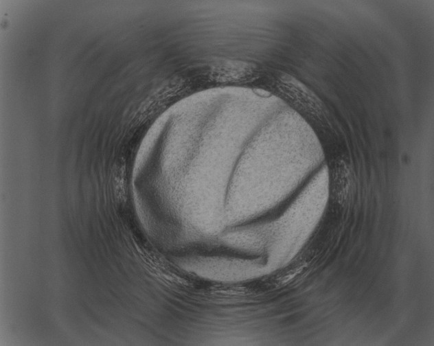 X0000062650510200601111155