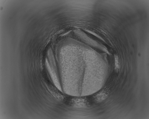 X0000062650512200601111155