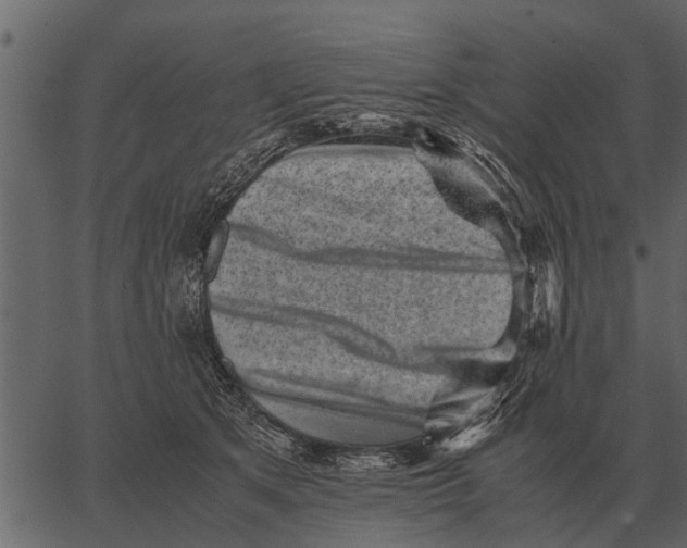 X0000062650513200601111155