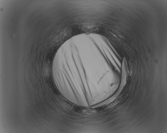 X0000062650515200601111155