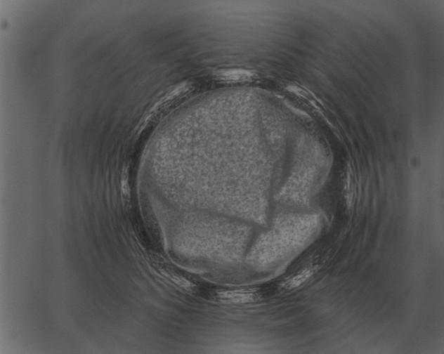 X0000062650516200601111155