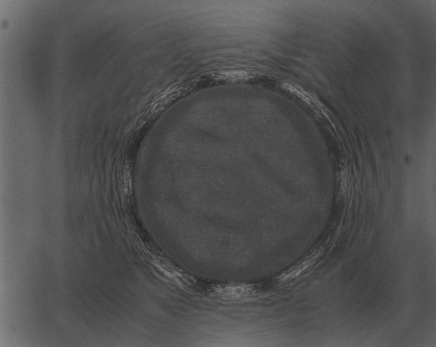 X0000062650517200601111155