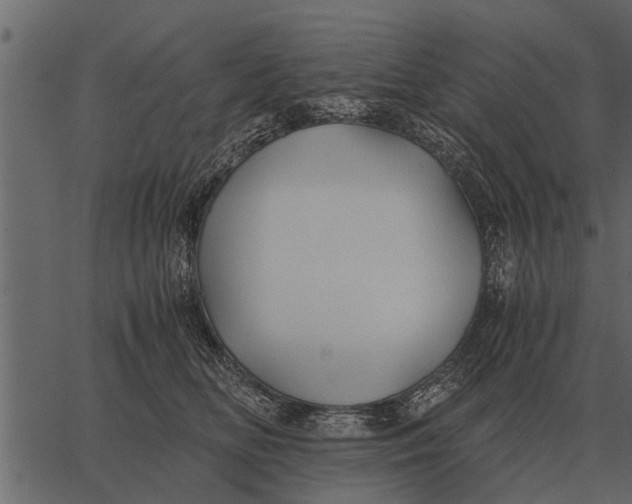 X0000062650518200601111155