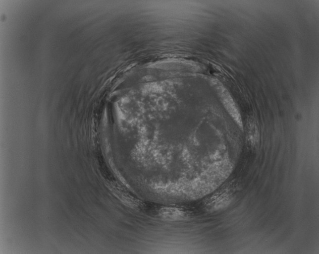 X0000062650519200601111155