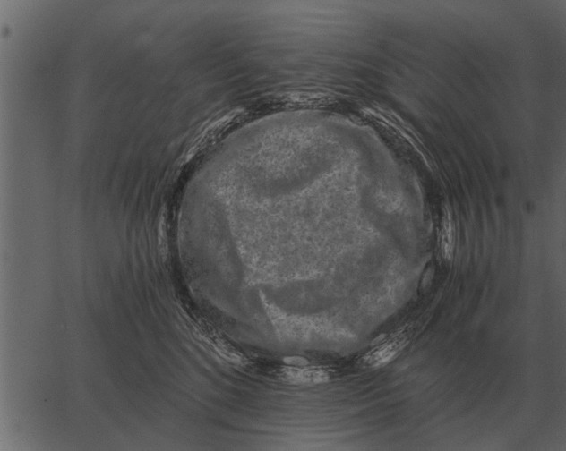 X0000062650520200601111155