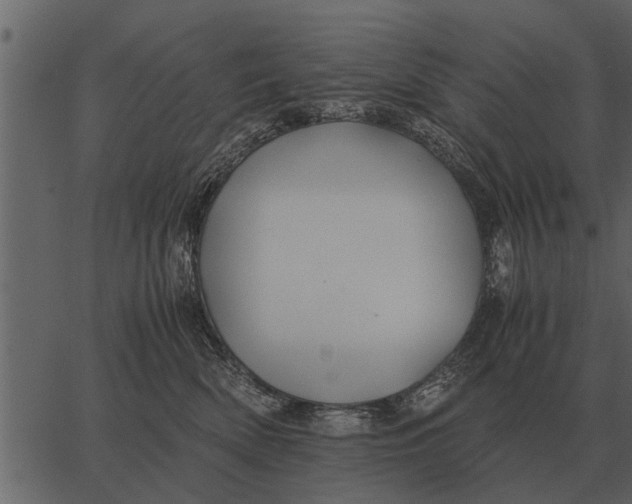 X0000062650522200601111155