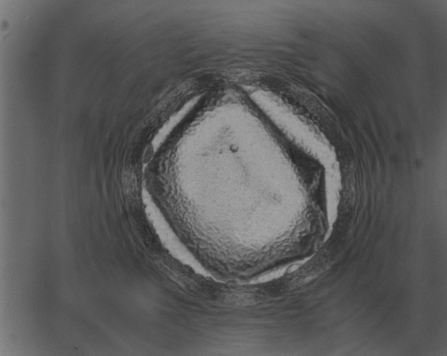 X0000062650523200601111155