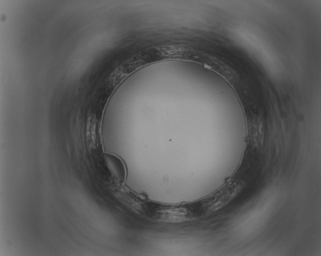 X0000062650525200601111155