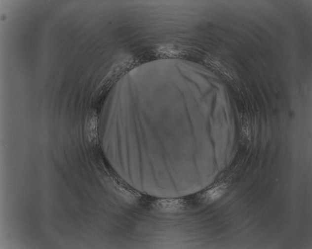 X0000062650526200601111155